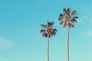 HOLASPAIN BLOG inspiratie Spanje Lifestyle Vakantie