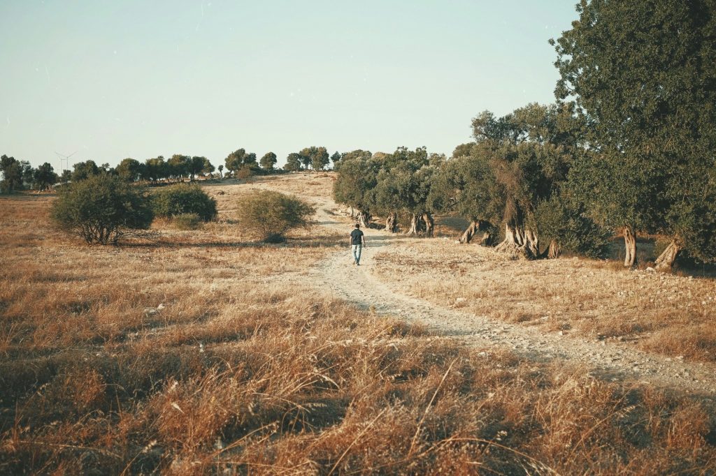 Glamping Yurt B&B Casa Valle de Oro Andalusie vakantiehuis HOLASPAIN