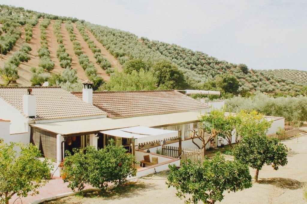 Glamping Yurt B&B Casa Valle de Oro Andalusie vakantiehuis HOLASPAIN