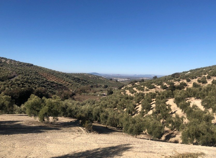 Glamping Yurt B&B Casa Valle de Oro Andalusie vakantiehuis HOLASPAIN