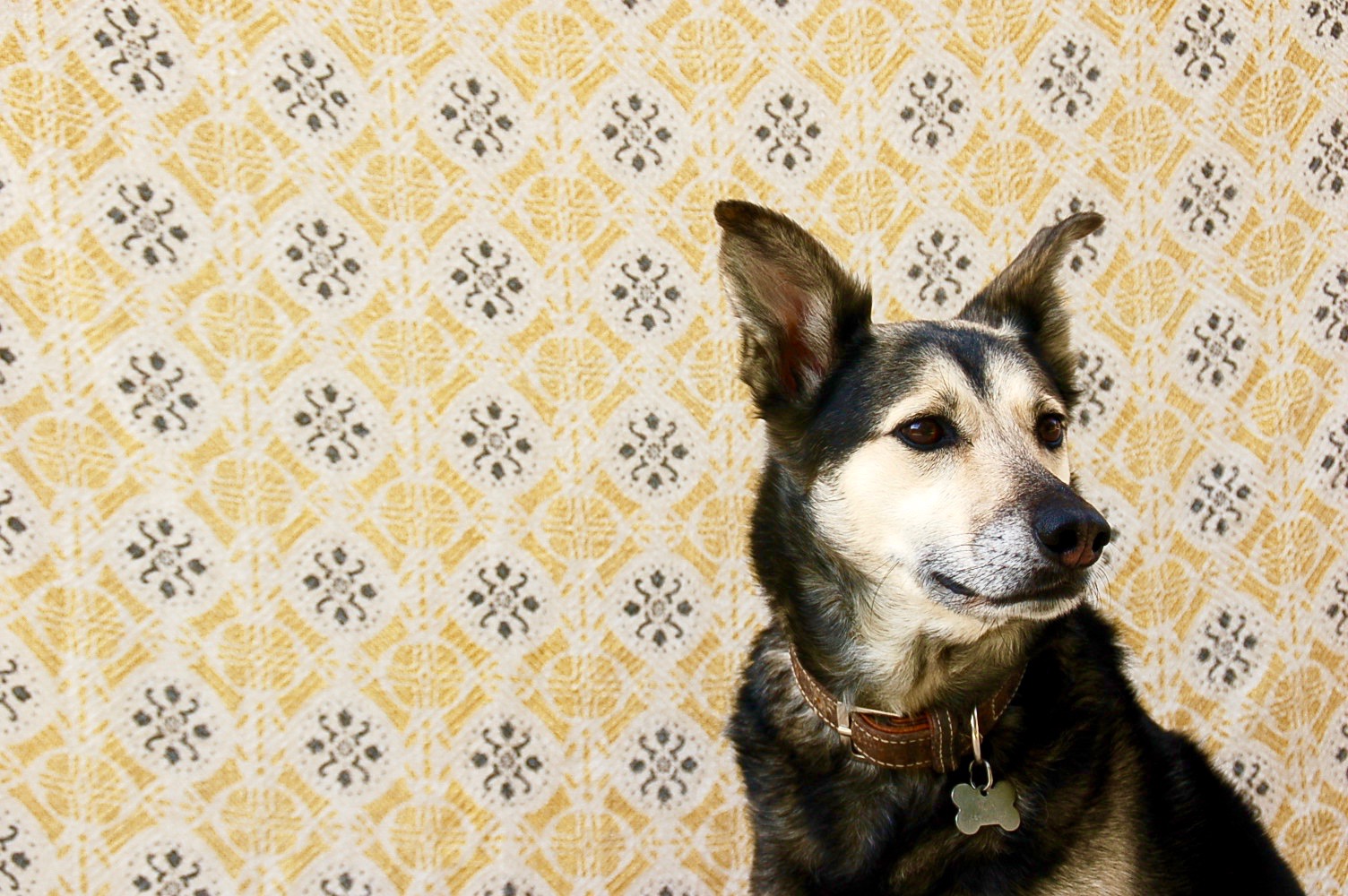 Casa_Valle_de_Oro_Andalusië_BnB_HOLASPAIN