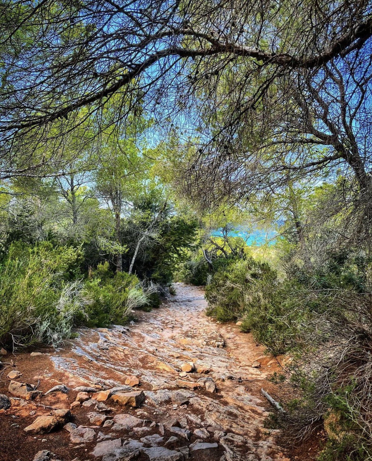 Formentera HOLASPAIN travel inspiration