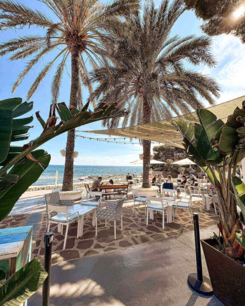 HOLASPAIN blog Moraira Algas L'Andrago