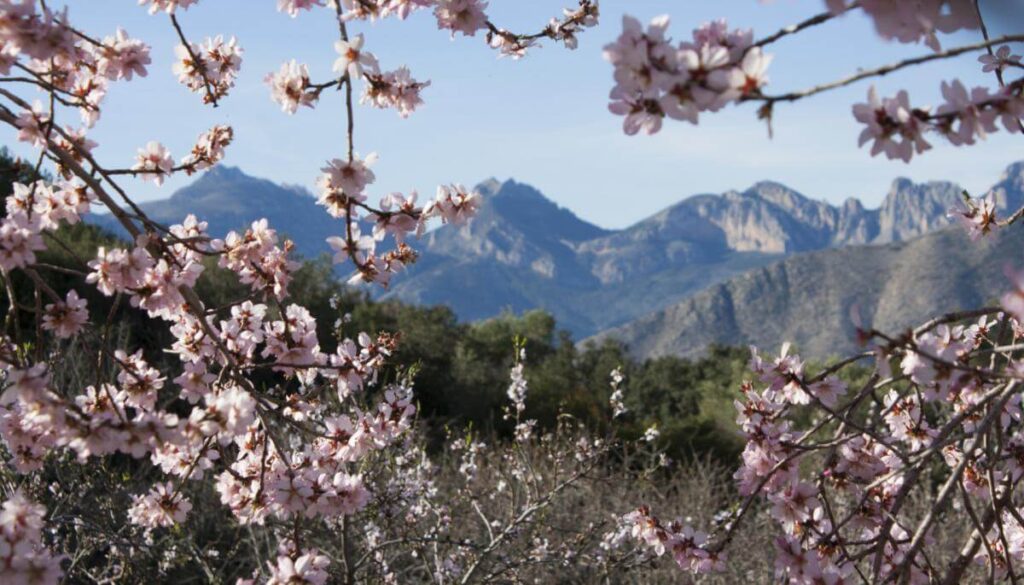 Costa Blanca vakantie appartement glamping Can Elisa HOLASPAIN