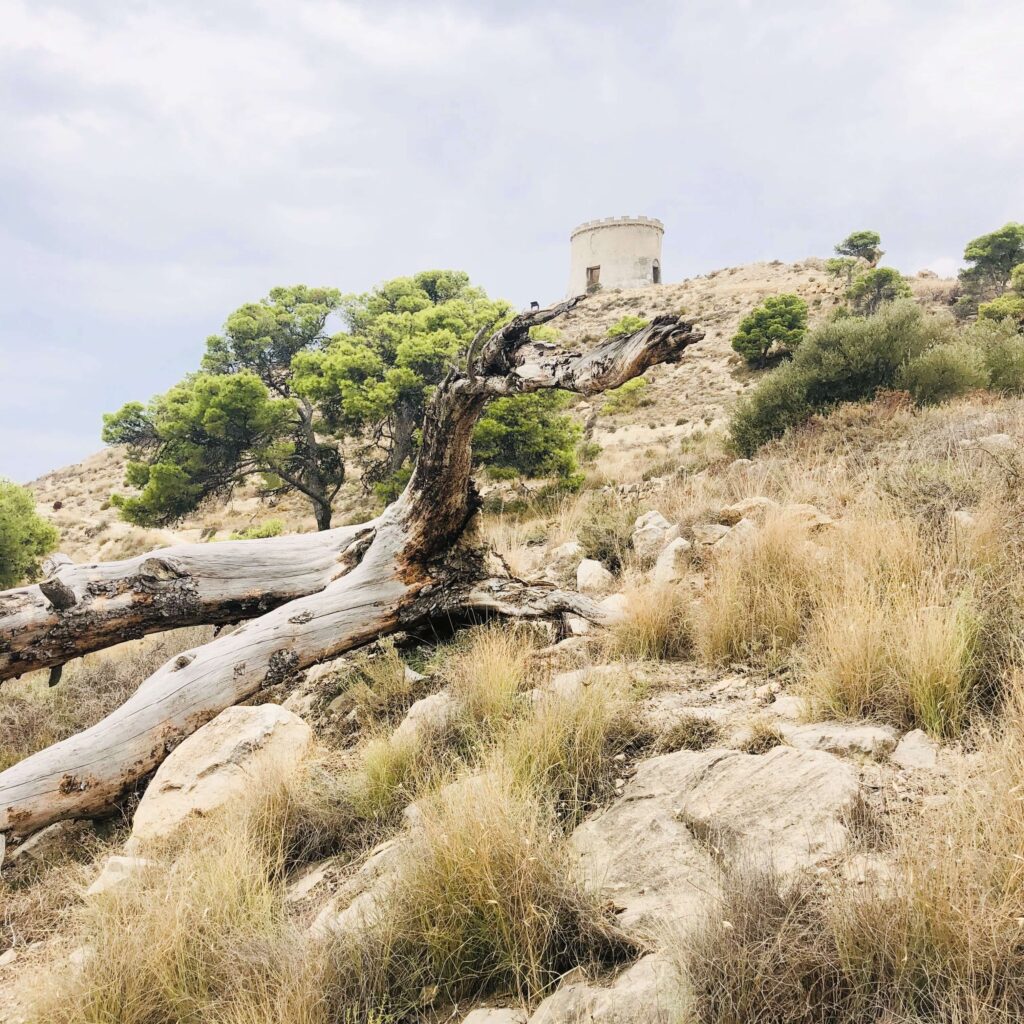 Villajoyosa vakantie inspiratie Spanje HOLASPAIN