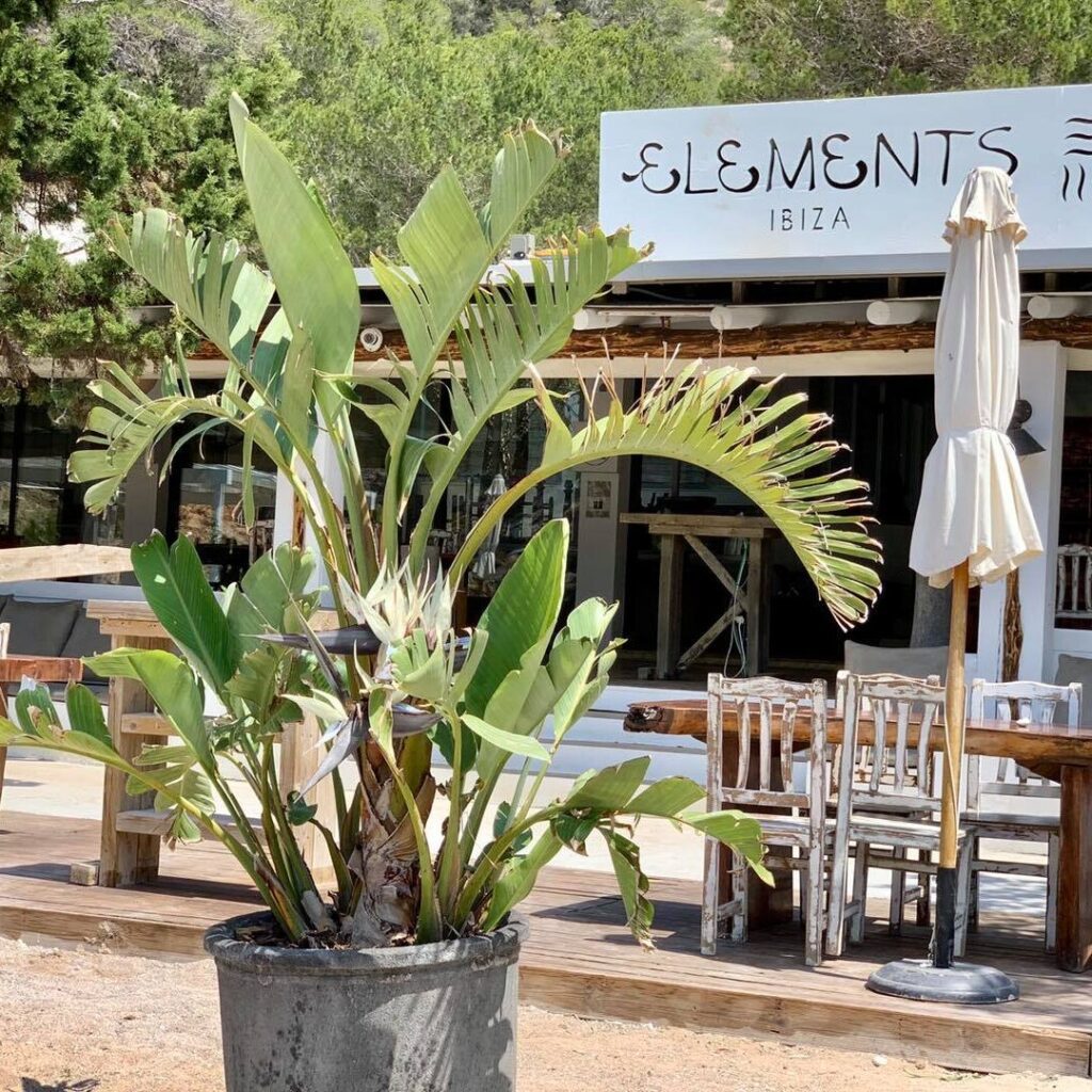 Ibiza Beaches Cala Benirras restaurant Elements