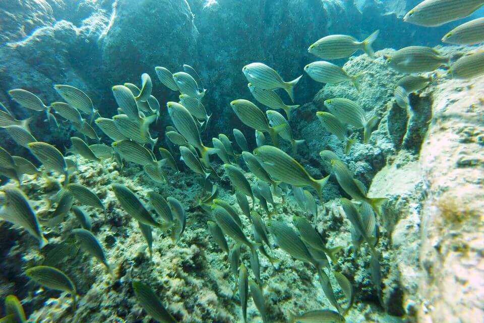 Costa Brava wateractiviteiten Barcelona kajak snorkeltour