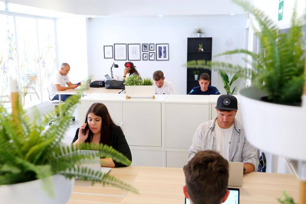 Workation Malaga DobleMitad workspace coworking