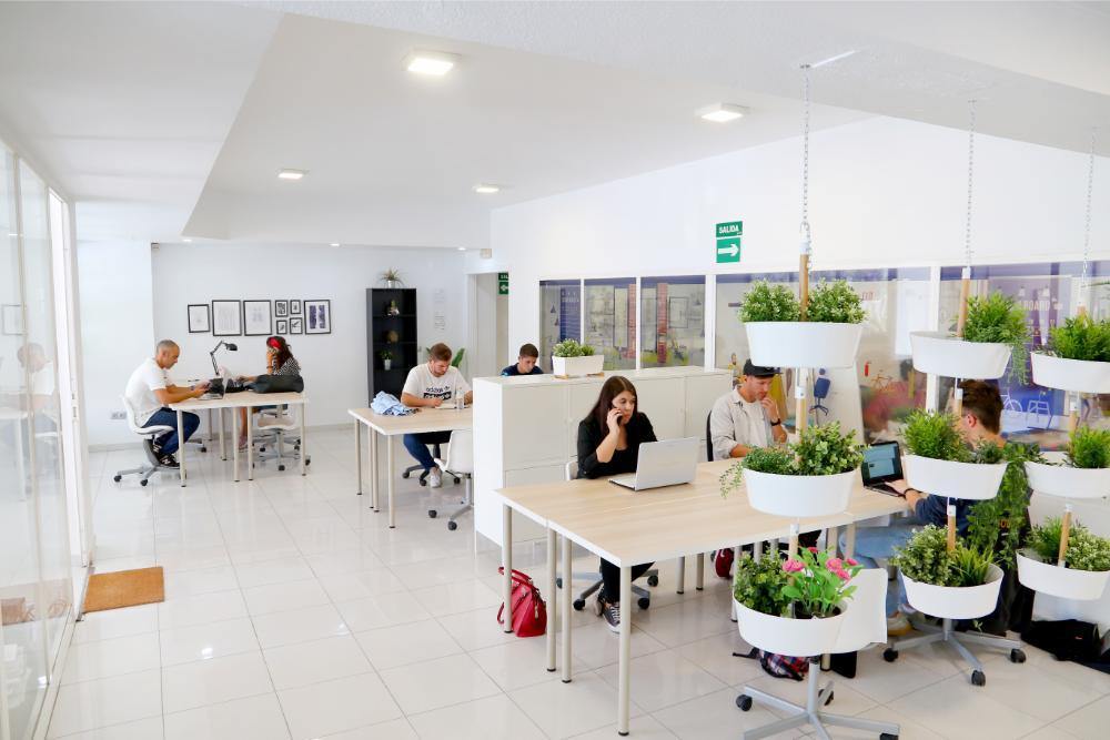 Workation Malaga DobleMitad workspace coworking