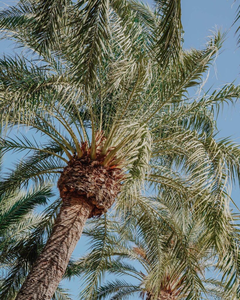 Boutique Hotel La Casita Javea Costa Blanca HOLASPAIN