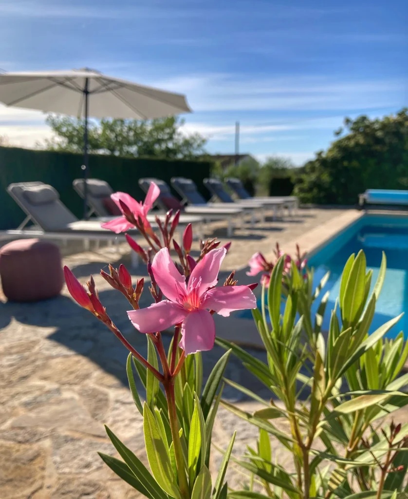 COSTA BLANCA BnB Finca de la Pansa Benissa HOLASPAIN