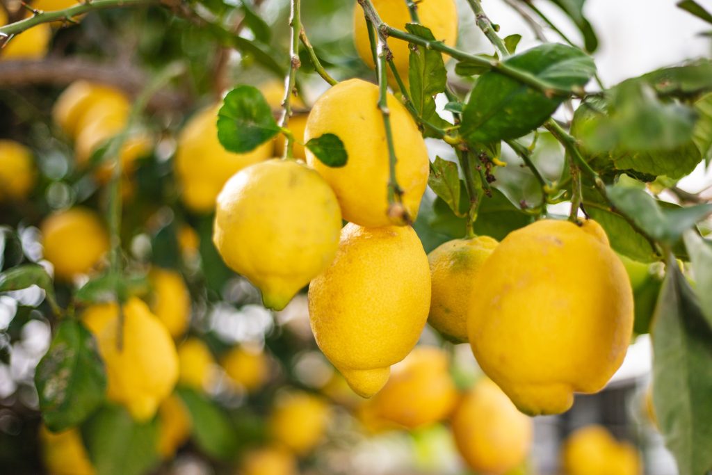 Vakantiehuis Casa Limon Javea COSTA BLANCA holiday home HOLASPAIN