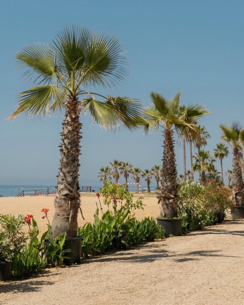 COSTA BRAVA Camping Caballo de Mar HOLASPAIN Calella