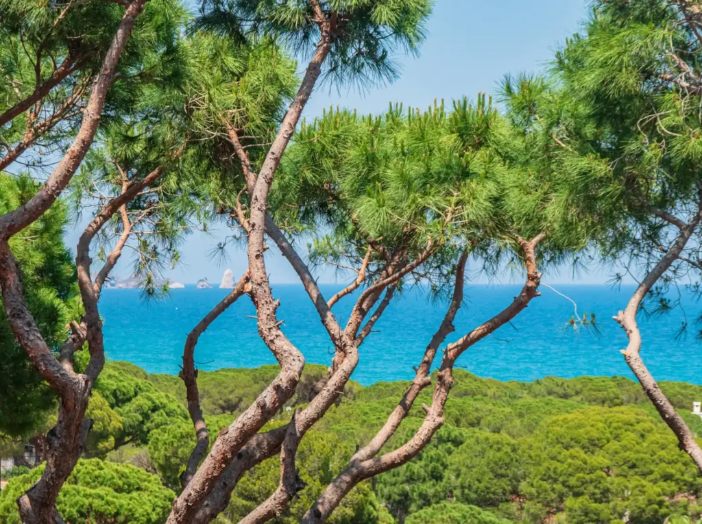 Costa Brava Pals Appartement HOLASPAIN vakantie Spanje