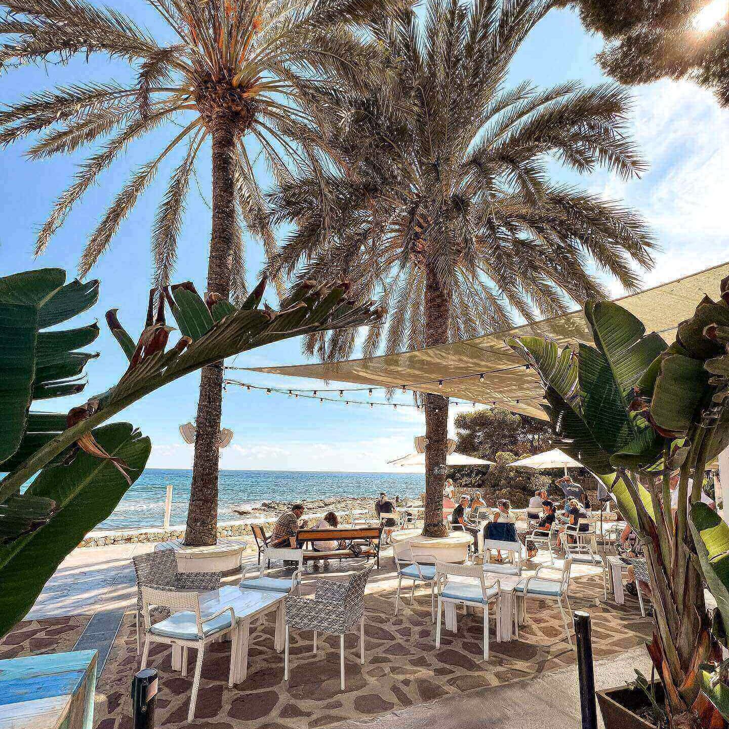 HOLASPAIN blog Moraira Algas L'Andrago