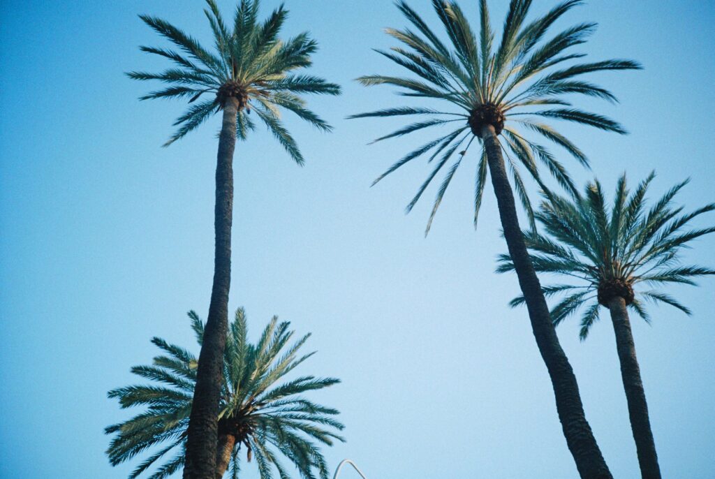 Gran Canaria vakantie Las Palmas HOLASPAIN