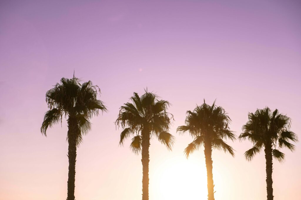 Ibiza vakantie tips HOLASPAIN