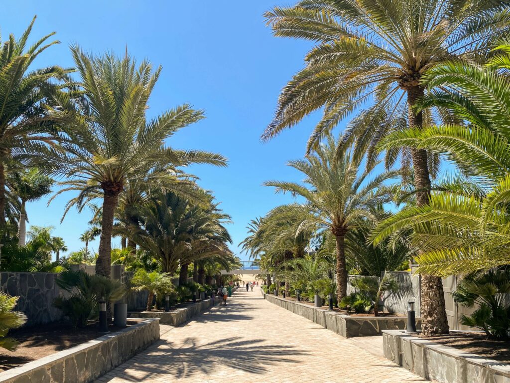 Vakantie Gran Canaria Spanje HOLASPAIN