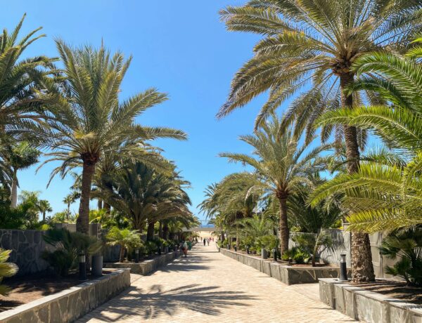 Vakantie Gran Canaria Spanje HOLASPAIN