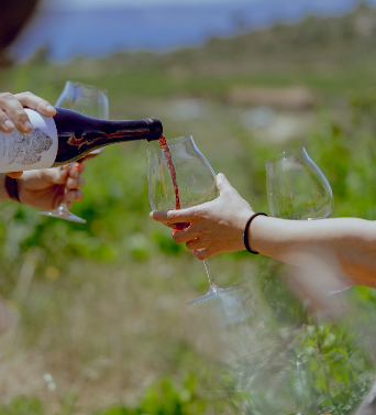 Wijnhuizen Celler Costa Brava HOLASPAIN