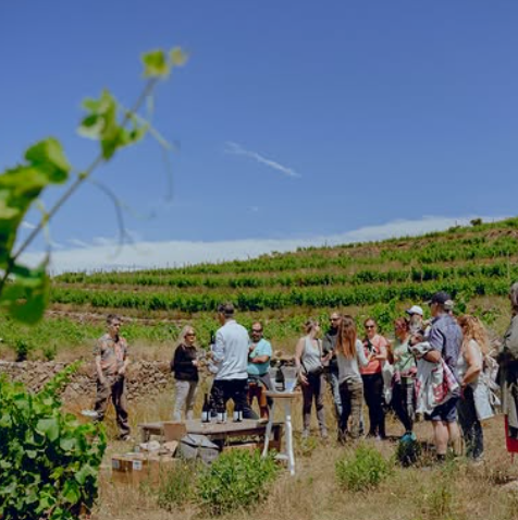 Wijnhuizen Celler Spelt Costa Brava HOLASPAIN