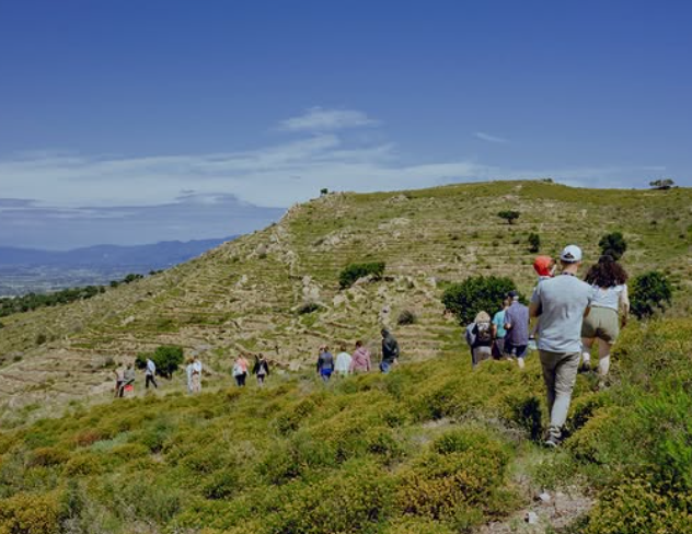 Wijnhuizen Celler Spelt Costa Brava HOLASPAIN